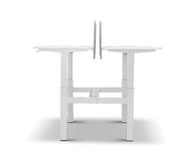 Load image into Gallery viewer, Amli Double Adjustable Standing Desk