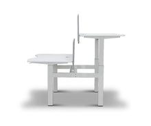 Load image into Gallery viewer, Amli Double Adjustable Standing Desk
