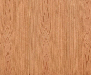 Baptisia 79" Media Stand
