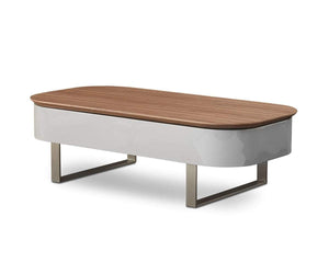 Baptisia Lift Top Storage Coffee Table