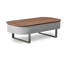 Load image into Gallery viewer, Baptisia Lift Top Storage Coffee Table
